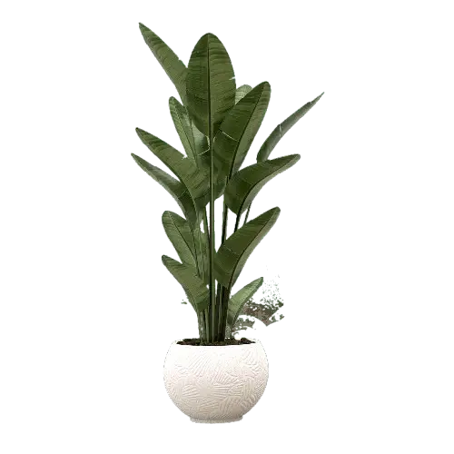 _Pngtree_indoor_plant_8533537-removebg-preview